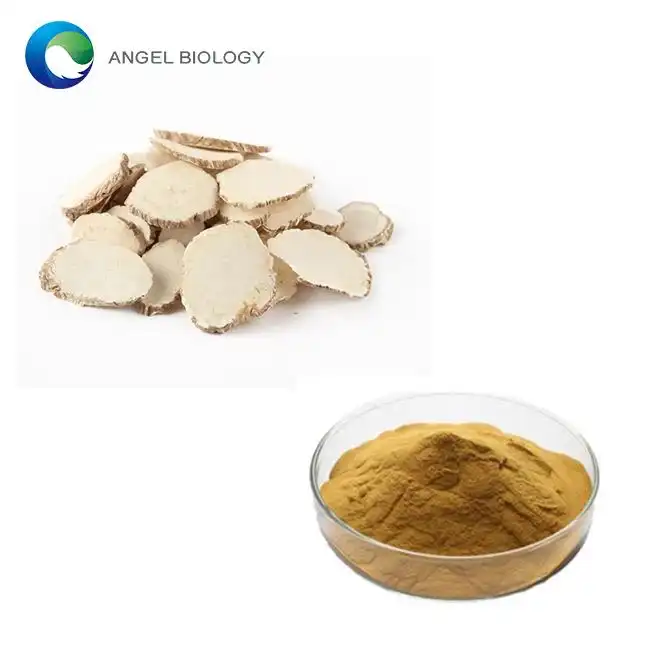 Angelica Extract